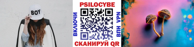 mega как войти  Нерчинск  Галлюциногенные грибы Psilocybine cubensis 